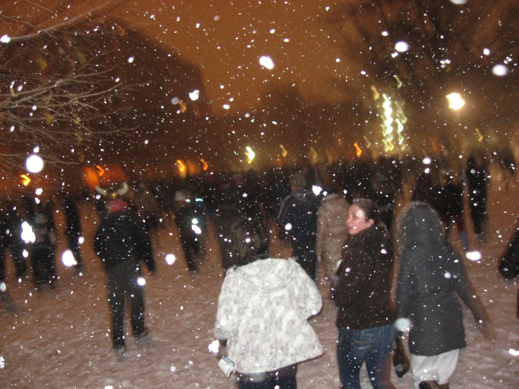 IMG_4024 IMG_4024